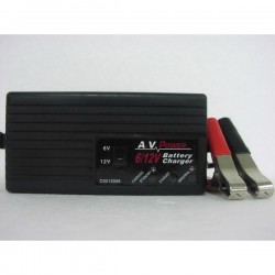 6/12v Inteli-charger